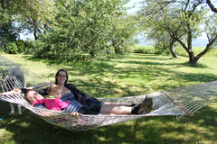 Rope Hammock Buy Online Harmony Hammocks